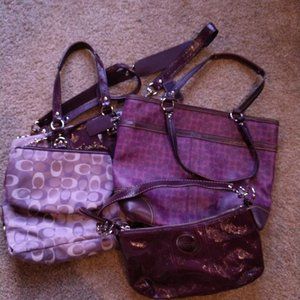 Coach Pretty in Purple Bag Bundle